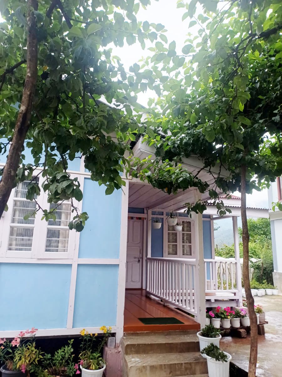 Cottage view at Apple Tree Homestay