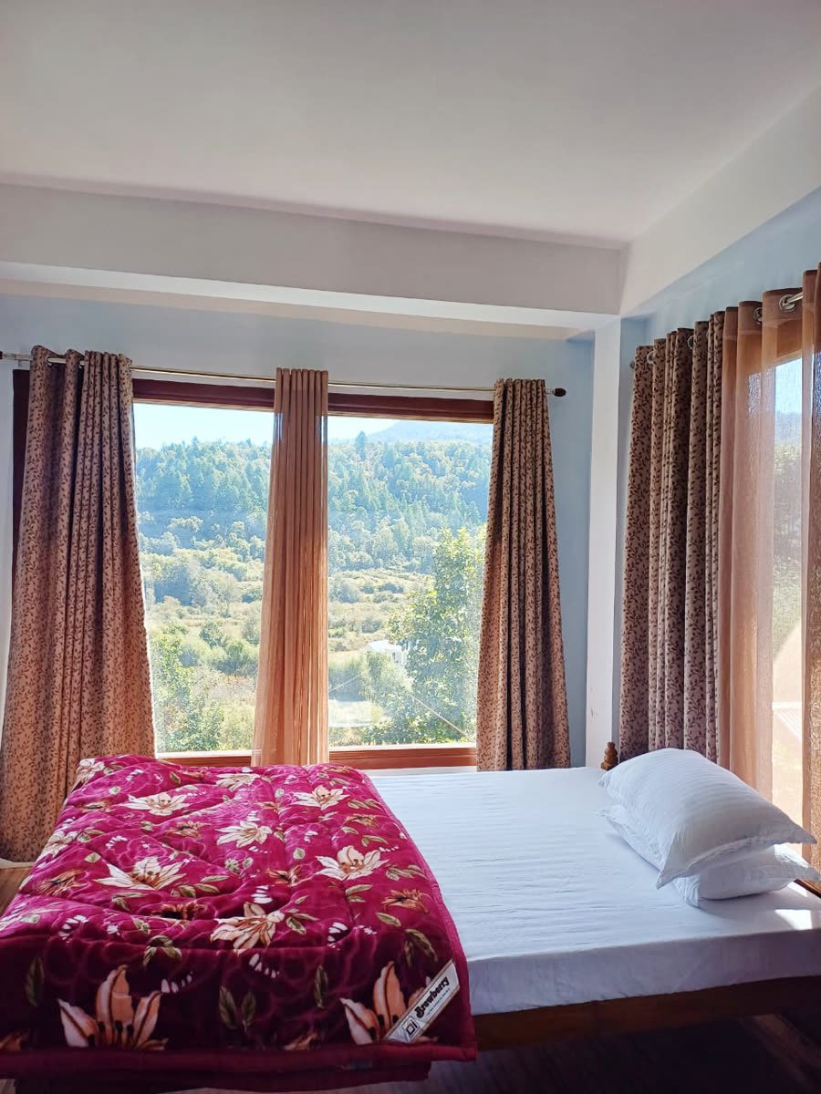 Mountain and orchard view from Apple Tree Homestay, Shergaon